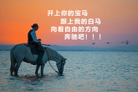第一次买车请看 什么样的车最适合家用