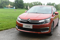 曾经的天外来客 现在长成什么样？