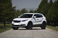 都说爱国 怎么这几款口碑/性能都好的车没人买呢