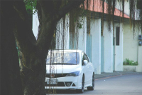 国内年销数百万的大众在这里卖不好 卖得好的竟然是……