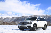 买这款国产SUV真不是因为穷，气场堪比路虎，除了他真没谁了！