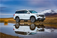 中国品牌完胜！这些销量最高的SUV究竟值不值得买？