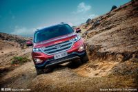 最低5.98万起！本周新车榜又被SUV刷屏了！