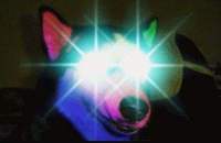 你的倒车灯只有一个吗？隔壁老王的车可有两个呢！