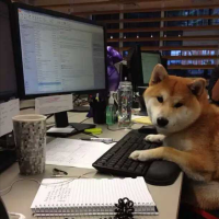 99%新手司机都不知道！变线和应对加塞狗的正确姿势