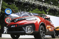 萌猫出没，各单位请注意