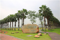 ​一汽-大众华南基地“绿色工厂”——环保与科技的艺术品