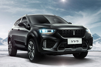 自主豪华 WEY VV5配置解析