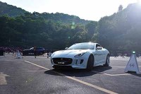 它是汽车圈里最懂运动的气质才子