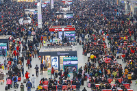 没票！没票！春节回个家就那么难吗？