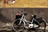 春节的事丨老爸，你怎么开车开那么慢？