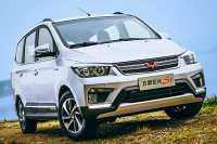 还是国内热销车最实用，欧美的要么小要么傻