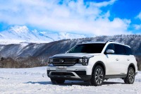  空间超大，气场十足！这些大尺寸SUV仅17万多 