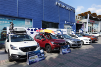 东风标致广州鸿标520超级品牌日新老客户答谢会圆满结束