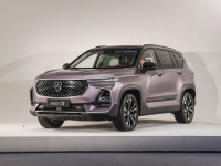 10来万预算等等这5款，全是重磅新车，不看亏大了