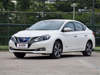 1年卖了48万台的买菜神车，换成纯电你会买？