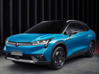 国内新势力还没起势，就要被特斯拉亚洲业务部给掐灭！