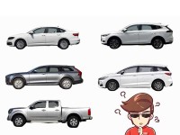 买车问别人，最怕遇到的是杠精。