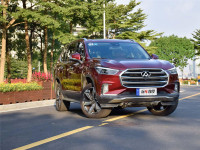 这些中国车,野起来不输进口百万级SUV