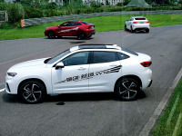 轿跑？溜背？跨界？哪些车才是你的最爱