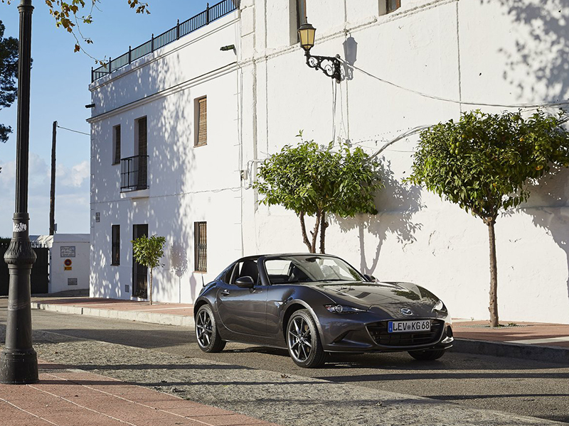 好的天气与它们相伴,简直不要太美好了