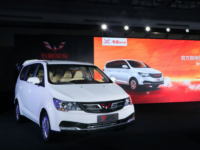 有求必应!730毛豆定制版正式上市