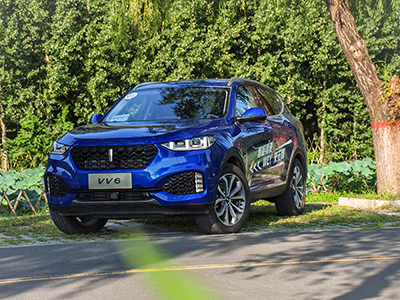 不看好国产车?这些SUV闷声发大财,看了保证不后悔!