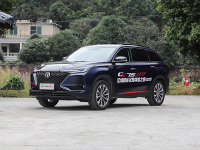 二月各大车企销量暴跌，国产车独善其身？