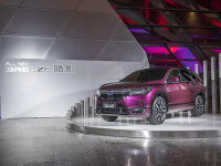 一分不降甚至加价，这些车怎么就惨遭哄抢？