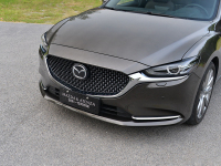 汽车界的两个偏执狂，一个拼命迎合，一个孤芳自赏