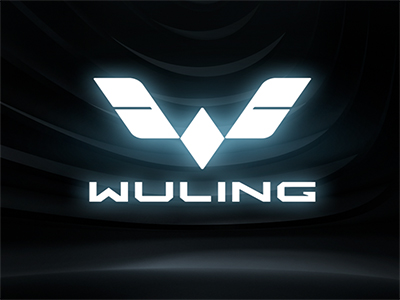 万众期待！ 五菱品牌将于5月25日发布全新LOGO