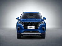 “燎原式”热销，掀“加V”热潮