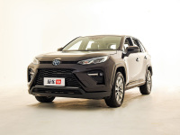 30万买了这些车之后，越堵车越开心？