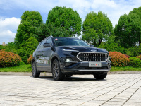 德系品质加持？试驾江淮嘉悦X7