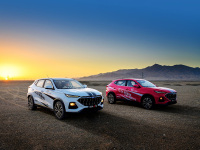 在这里开车,老司机都有点接受不了