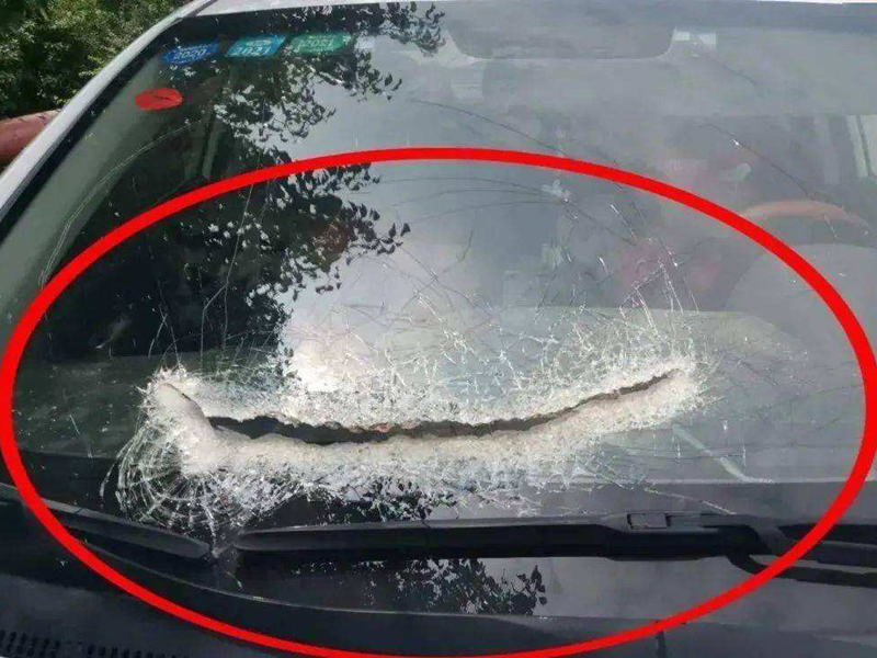 驾车时被异物击中 居然属于无责事故?