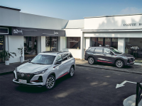 国产车各自有什么优点和缺点？